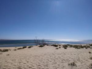 Guest house privative pour 2 sur Lege cap Ferret