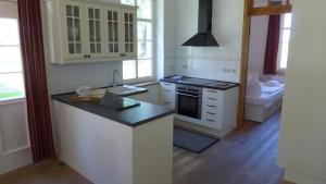 Appartement Gut Rattelvitz, Parterre A Volsvitz 8 18569 Gingst Mecklembourg-Poméranie