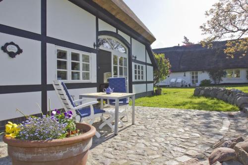 Gutshof Ostseeblick Ferienwohnungen FeWo 3 Terrasse, Gartennutzung
