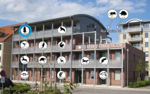 Hafendomicil Appartement WH15 - Adler