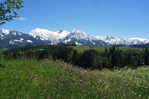 Appartement Haflinger Hof Oberdorf 12 87538 Obermaiselstein Bavière