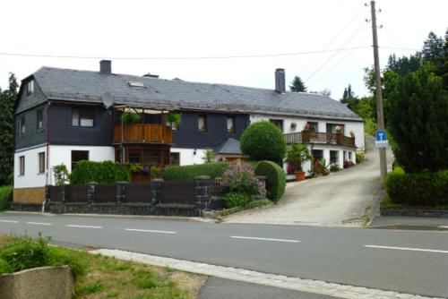 Hammerfinken-Nest