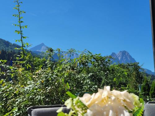 Hansi´s Bergblick