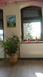 Hansis Lodge
