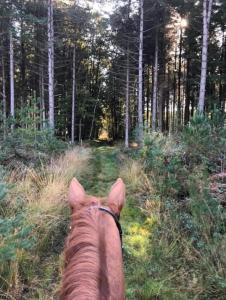Haras du sablon au cœur du parc régional du perche