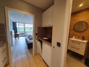 Appartement Harz Enjoy - Vier Jahreszeiten Parkstraße 14 38644 Hahnenklee Basse-Saxe