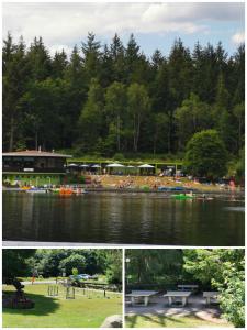 Harz, Hahnenklee