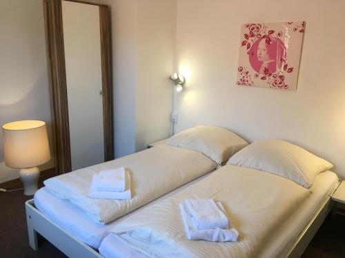 Harz House