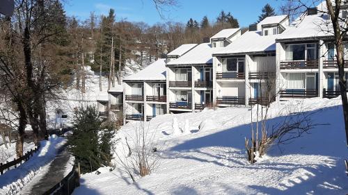 Harz-Hütte - schnuckelig FeWo in St. Andreasberg