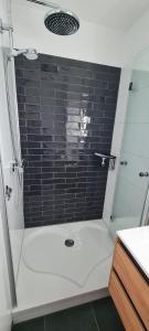Harz mit Herz, Infrarotsauna, E-Kamin, Herzdusche
