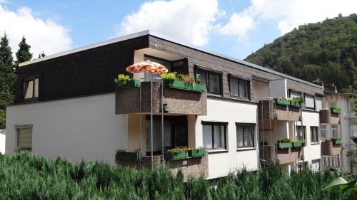 Harzburger Ferienwohnung