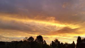 Harzer Bergblick all inkl