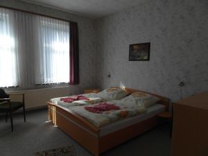 Harzhaus-am-Brunnen-Wohnung-3