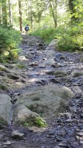 Harzlich