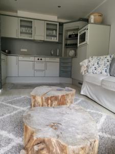 Harzstern Bungalow Studio mit Garten
