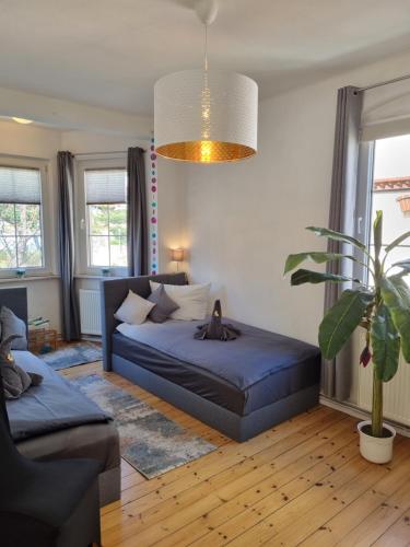 Harztour 3 Ferienwohnung