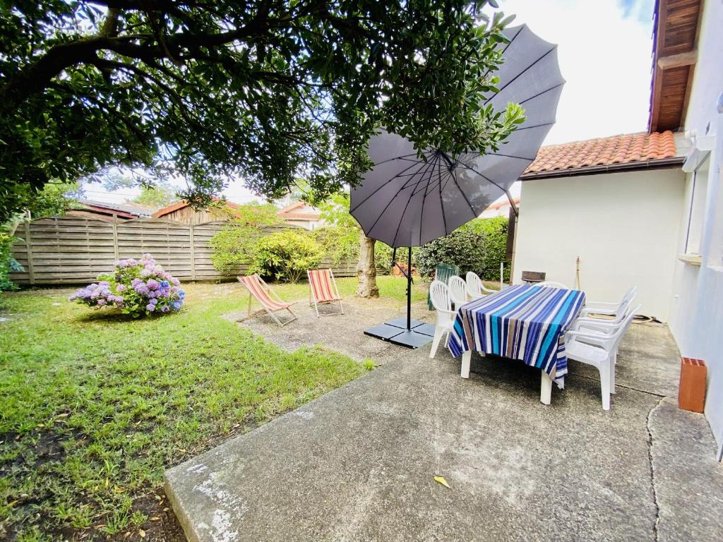 Hasen Apartment Lingen 49808 Lingen