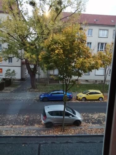 HAUPT Bahnhof und University Nähe, günstig Obergeschoß nur für Frauen only booked for women