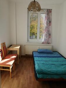 HAUPT Bahnhof und University Nähe, günstig Obergeschoß nur für Frauen only booked for women