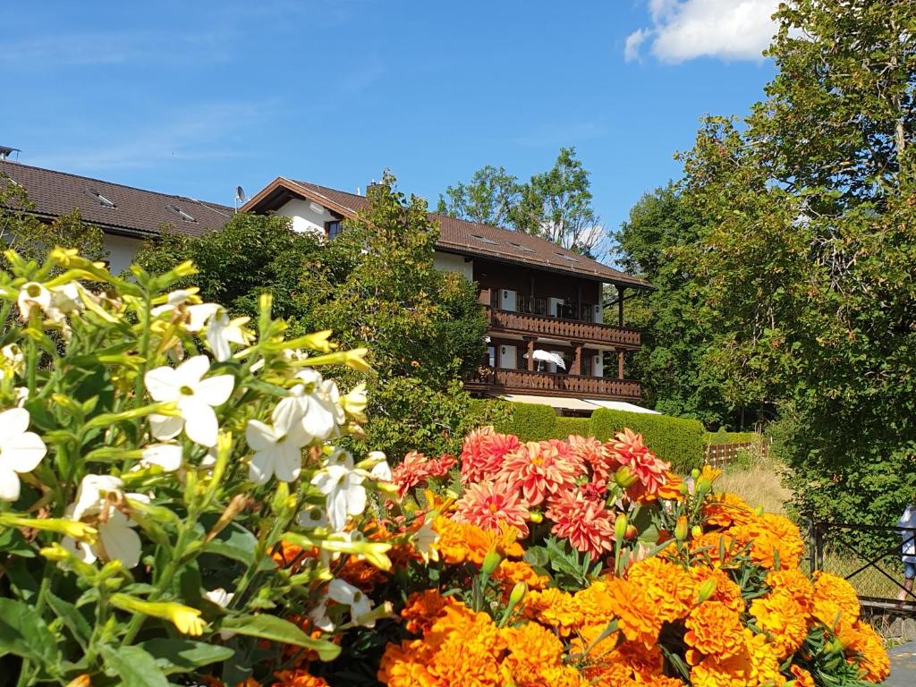 Appartement Haus Abendsonne Alpenglühn 1B Soiernstraße 82494 Krün