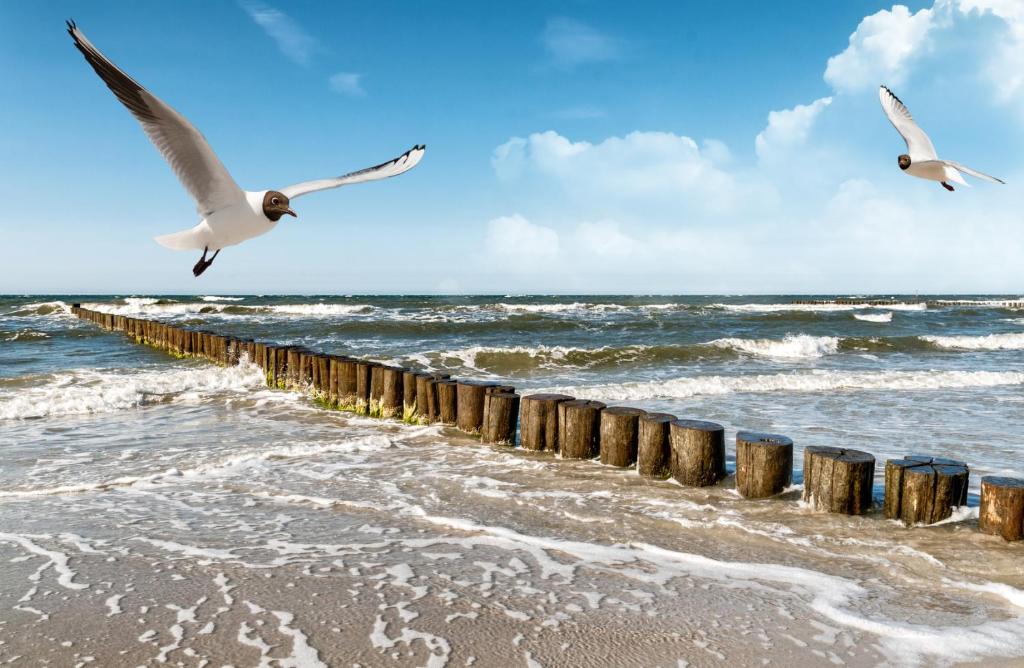 Haus am Meer Whg 46 Andreas-Dirks-Straße 14, 25980 Westerland
