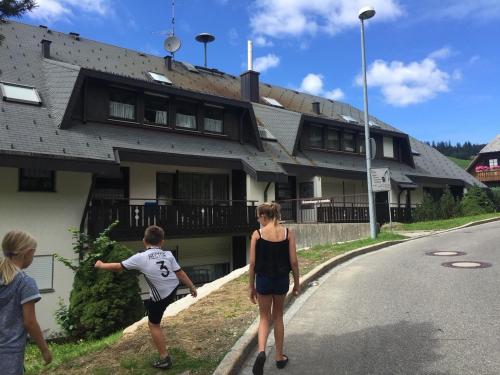 Haus am Sonnenberg,Todtnauberg, Ferienwohnung 305, direkt am Skilift-Skipiste, Nähe Feldberg