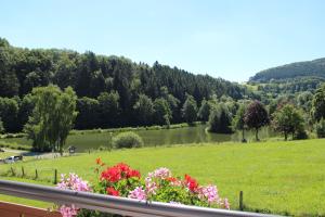 Appartement Haus am Stryckpark Stryckweg 58 34508  Willingen Hesse