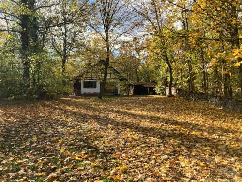 Haus am Wald