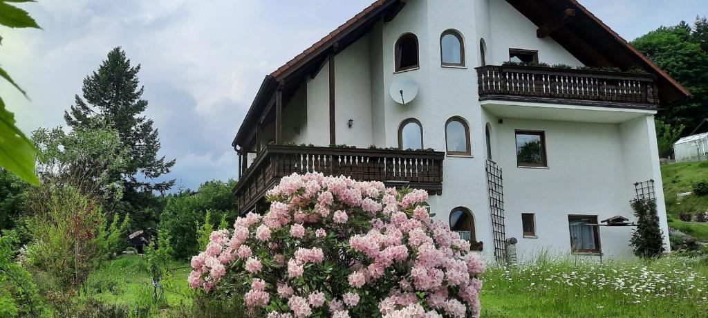 Haus Am Waldesrand 1a Naabquellenweg, 95686 Fichtelberg