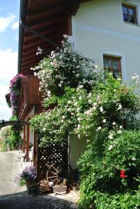 Haus Am Waldrand - Ferienwohnung Augustin