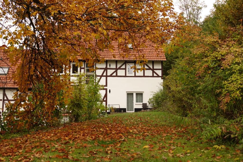 Haus an der Werbe (studio) 1 Kampmühle Studio in huis rechts, 34513 Waldeck