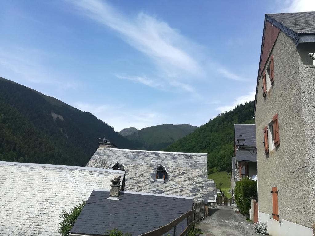 Haus Auguste, Kormoran