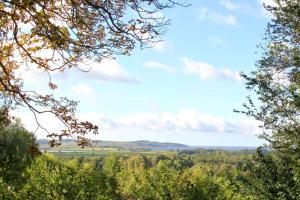 Haus Blick zur See FeWo 09 Gartennutzung, Meerblick, Sauna- und Schwimmbadnutzung im AHOI Sellin