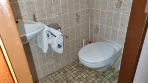 Haus Borkumitte Appartement Rottum