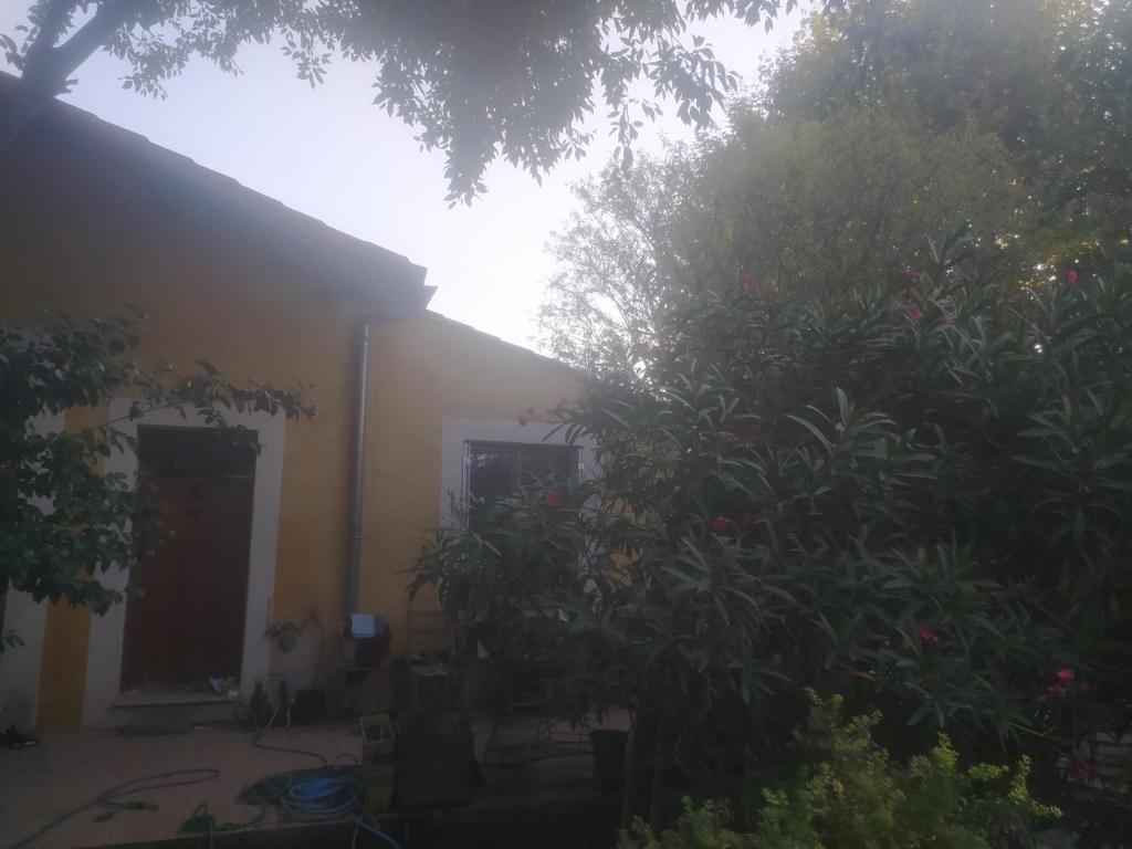 Haus Frische Brise 0507