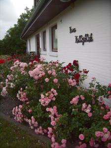 Appartement Haus-Halligblick-Ferienwohnung-Oland Halligweg 26 25899 Dagebüll Schleswig-Holstein