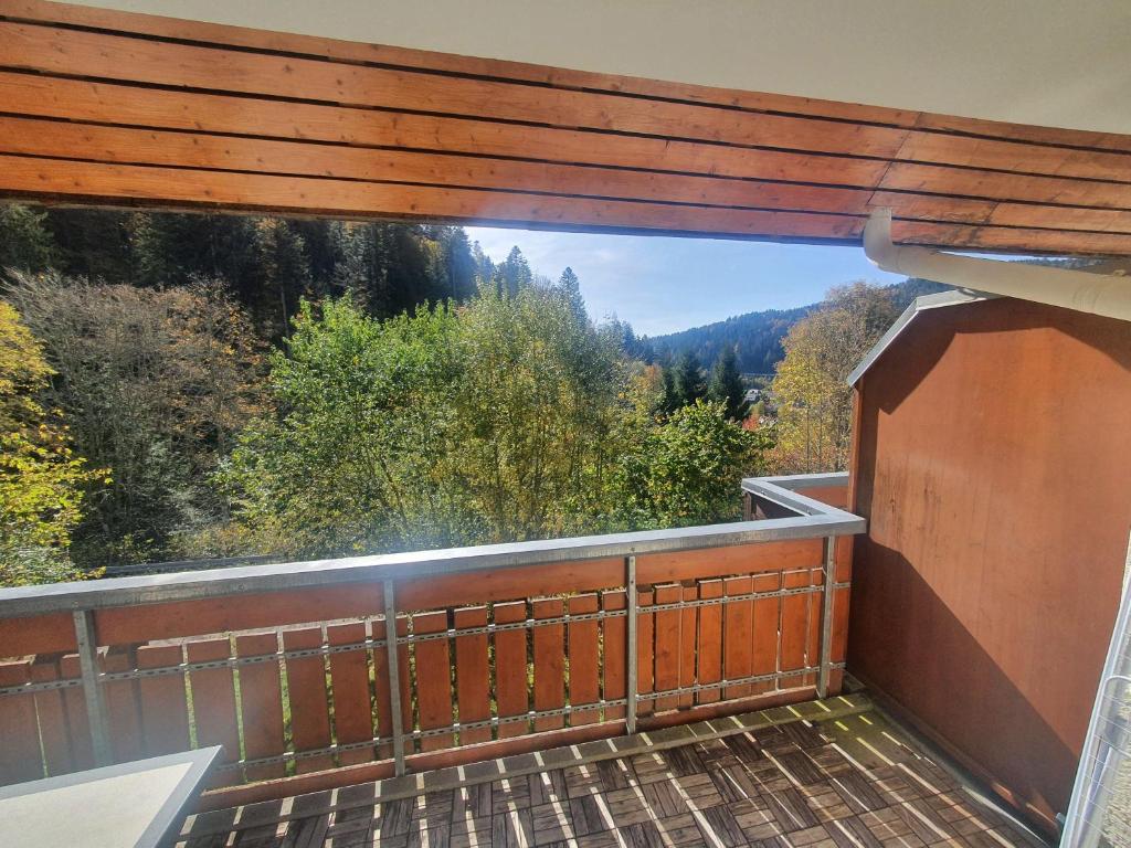 Appartement Haus-Herzogenhorn-Sunrise Auf dem Köpfle 4 79682 Todtmoos