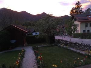 Haus Huber, Neshia Huber