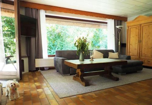 Haus-Hummergrund-App-Seepferdchen