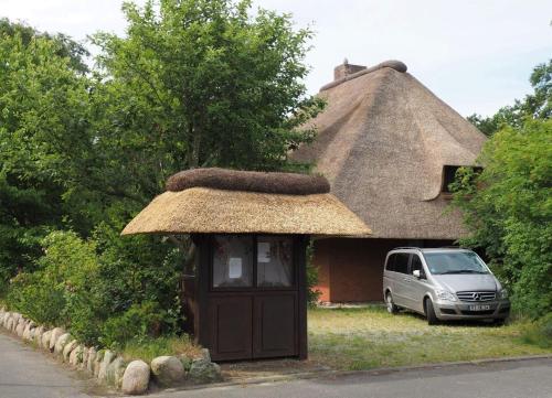 Haus-Hummergrund-App-Seepferdchen