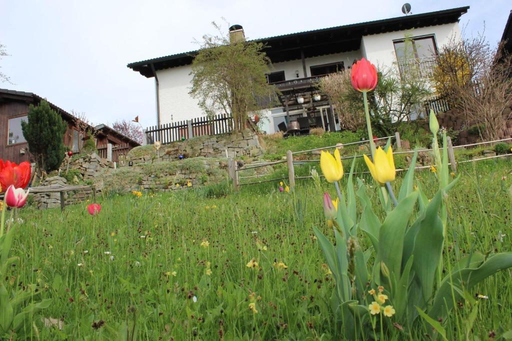 Haus Koblizek Hopfengartenweg 10, 94065 Waldkirchen