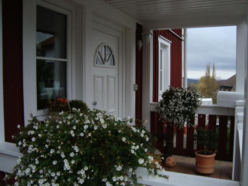 Haus Nordlicht
