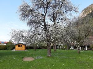 Appartement Haus Polleichtner Freiweidach 1 83250 Marquartstein Bavière