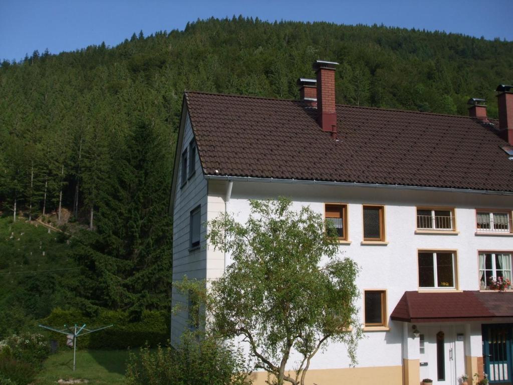 Haus Post EG-Wohnung Waldstraße 11, 79674 Todtnau