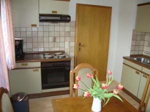 Appartement Haus Reif 5 Finkenweg 91601 Dombühl Bavière