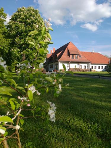 HAUS RINGGAU - Urlaub, Gemeinschaft und Erlebnis im Herzen von Deutschland