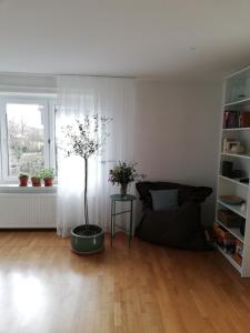 Appartement Haus Rosenbusch Rosenbuschstraße 38 93161 Sinzing Bavière