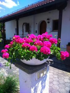 Appartement Haus Säntisblick Gmünd 16 88097 Eriskirch Bade-Wurtemberg