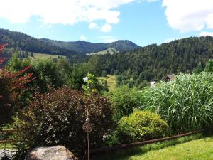 Appartement Haus Schäfer Äulemer Weg 26 79837 Menzenschwand Bade-Wurtemberg