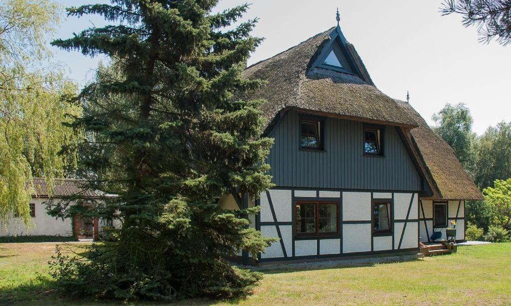 Haus Schilfkante - Wohnung 1 Johann-Segebarth-Weg  5, 18375 Wieck